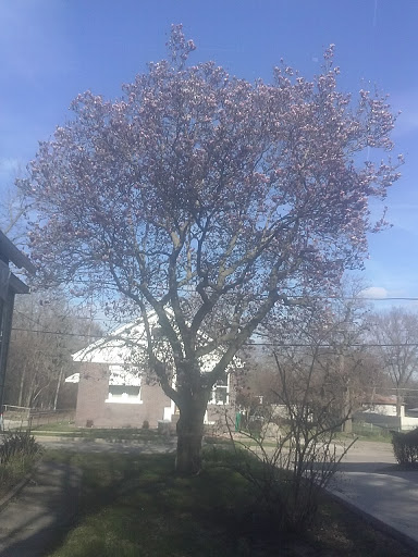 Park «Nowell Park», reviews and photos, 199 Mills Rd, Joliet, IL 60433, USA