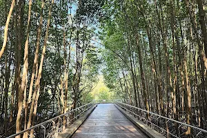 Saphan Hin Mangrove Walkway image