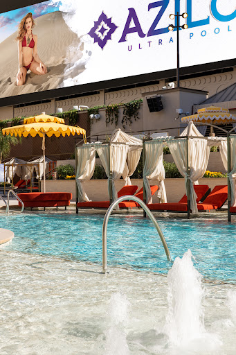 Night Club «Foxtail Pool», reviews and photos, 2535 S Las Vegas Blvd, Las Vegas, NV 89109, USA