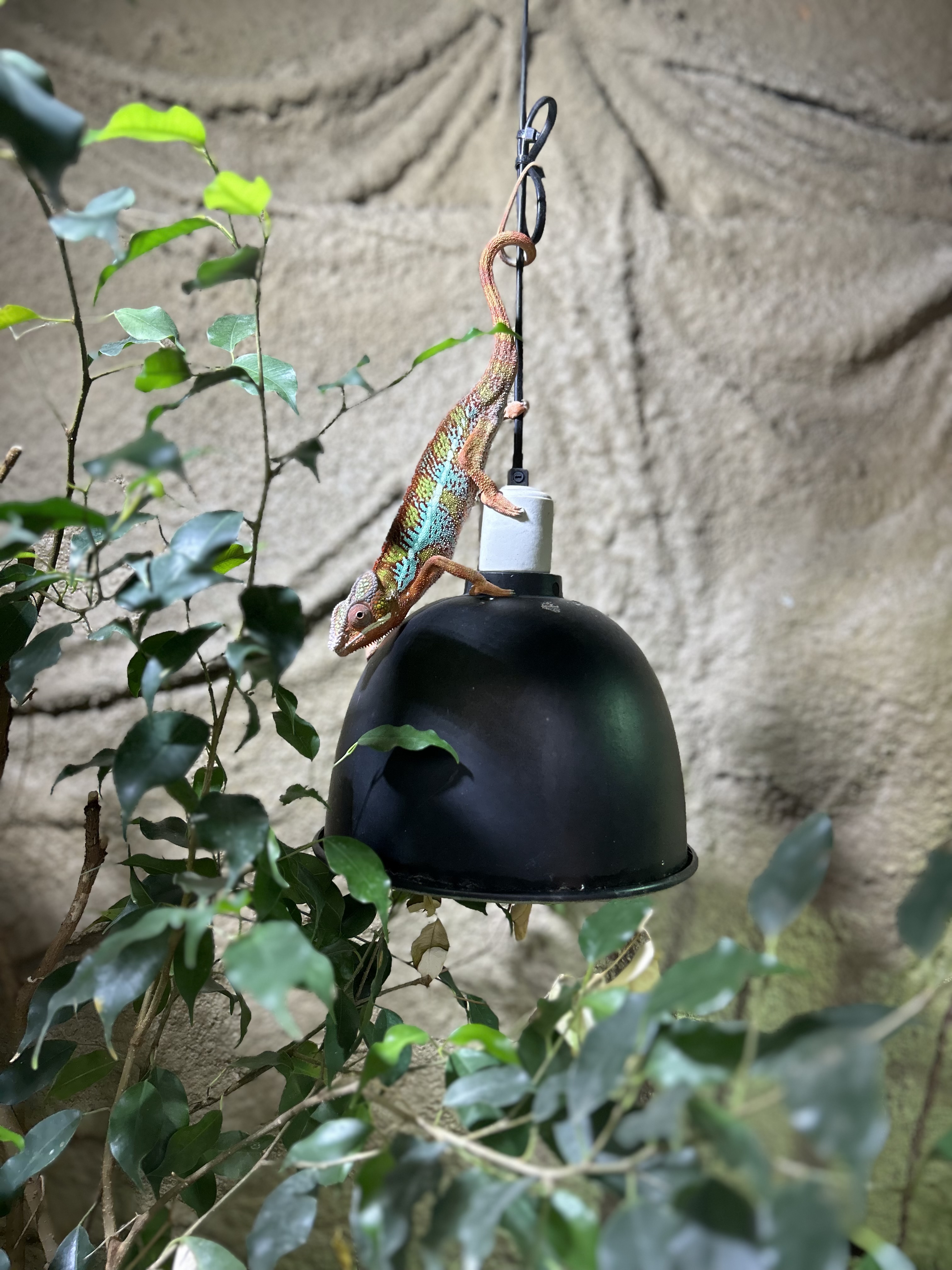 Photo n° 5 de l'avis de chloe.e fait le 26/07/2023 à 15:32