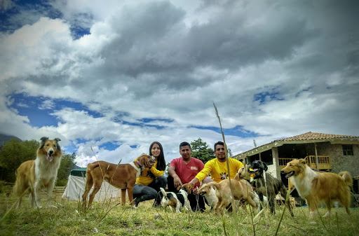 SACRED DOGS HOSPEDAJE Y CENTRO DE ADIESTRAMIENTO CANINO CUSCO