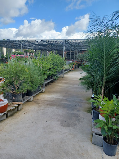 Home Improvement Store «The Home Depot», reviews and photos, 10151 Bloomingdale Ave, Riverview, FL 33569, USA