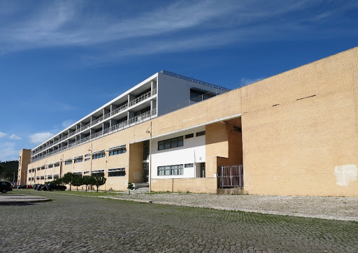 Faculty of Veterinary Medicine of the University of Lisbon