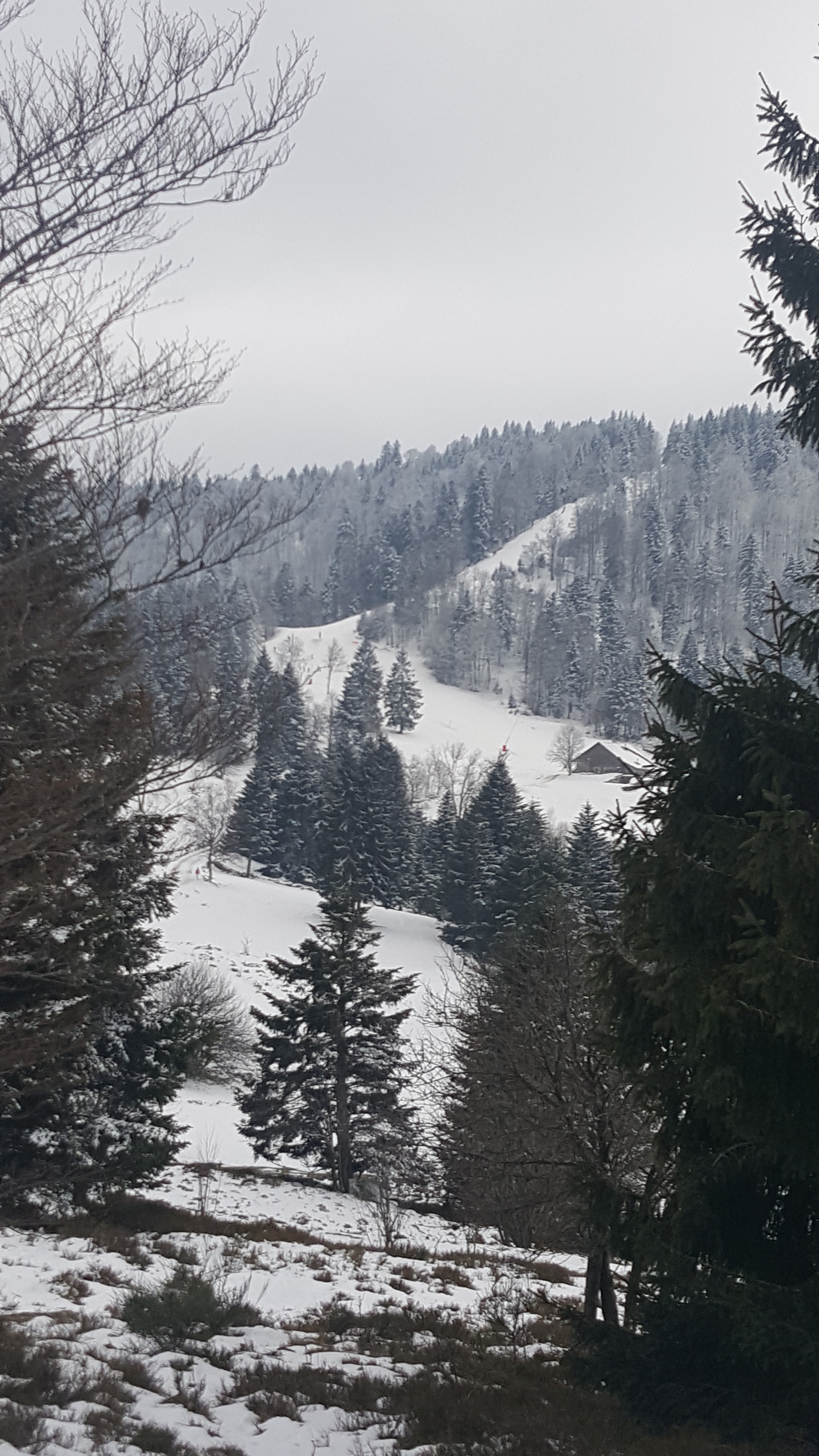 Photo n° 1 de l'avis de Veronique.o fait le 22/01/2020 à 20:10