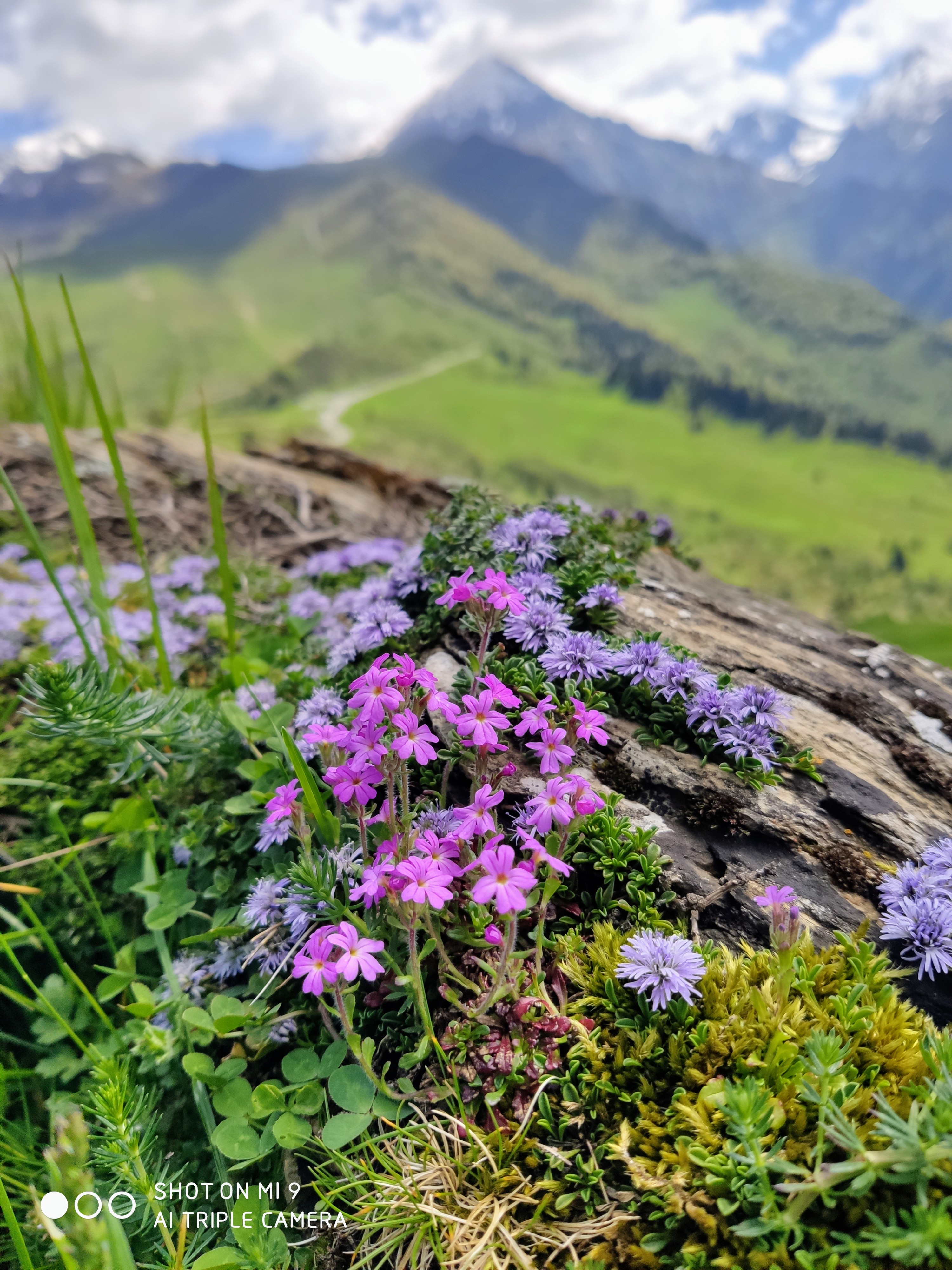Photo n° 2 de l'avis de benjamin.a fait le 29/05/2020 à 11:27