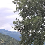 Photo n°3 de l'avis de Antonio.o fait le 12/07/2020 à 18:29 sur le  Pizzeria Ristorante Rover à Caneva