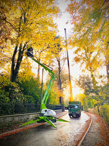 Treescapes NI - Belfast & Northern Ireland's Premier Tree Service Company - Belfast