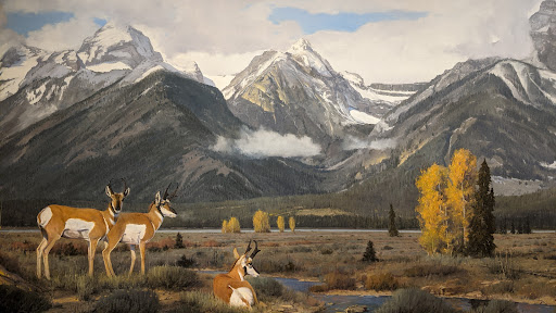 Art Museum «Booth Western Art Museum», reviews and photos, 501 N Museum Dr, Cartersville, GA 30120, USA