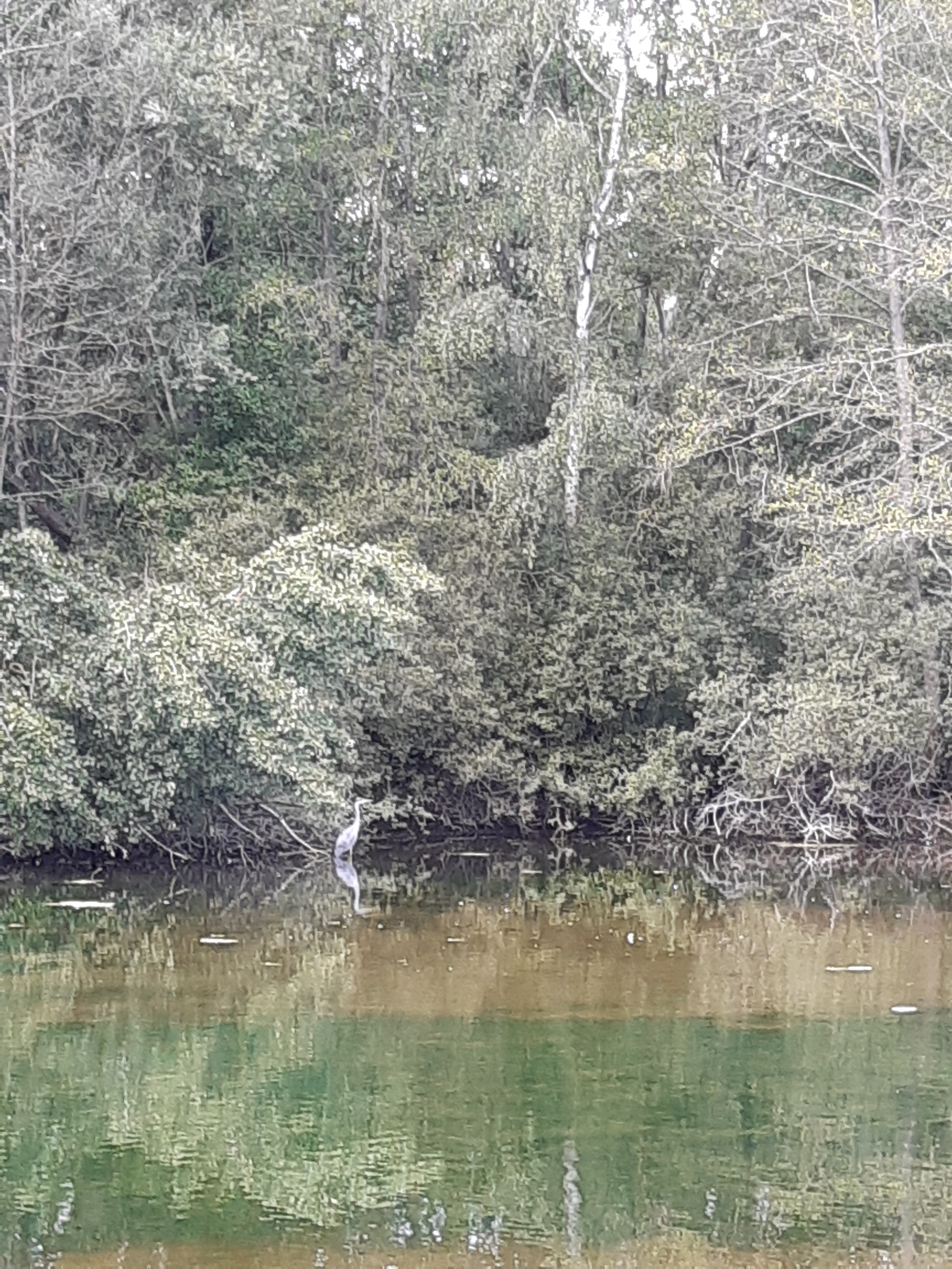 Photo n° 5 de l'avis de Tina.. fait le 08/09/2019 à 11:30