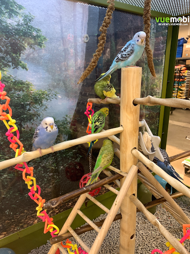 Pet Supply Store «Petco Animal Supplies», reviews and photos, 3201 Bee Cave Rd #117, Austin, TX 78746, USA