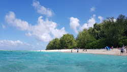 Fotografie cu Ritidian Beach zonă sălbatică