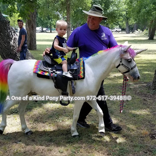 Zoo «A One of A Kind Pony Party», reviews and photos, 912 Bells Chapel Cir, Waxahachie, TX 75165, USA