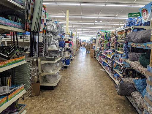 Dollar Store «Dollar Tree», reviews and photos, 900 N Austin Ave #119, Georgetown, TX 78626, USA