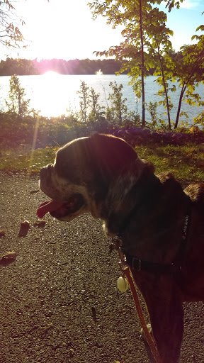 Art Museum «Albright-Knox Art Gallery», reviews and photos, 1285 Elmwood Ave, Buffalo, NY 14222, USA