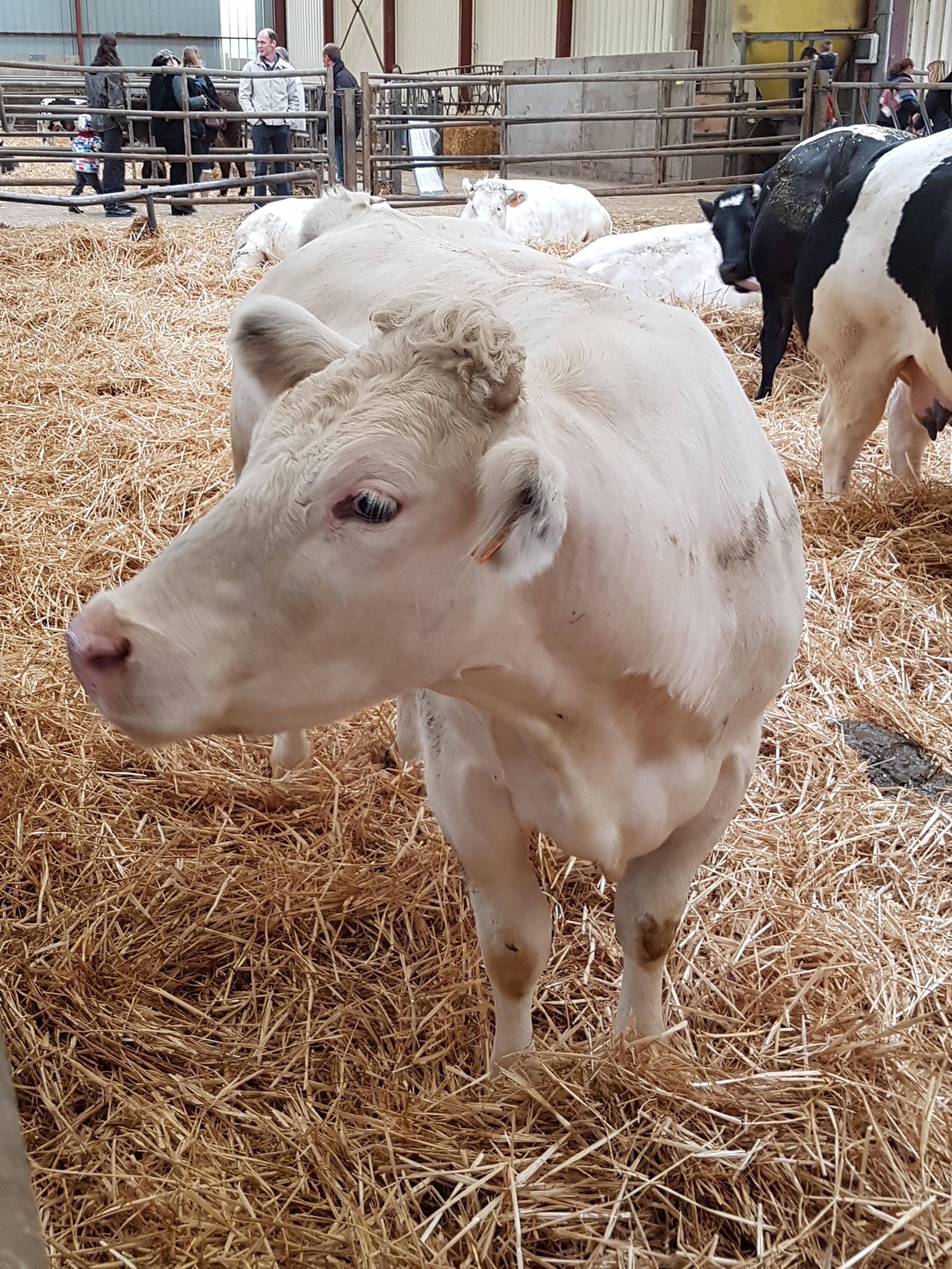 Photo n° 41 de l'avis de Alicia.P fait le 28/04/2019 à 13:27
