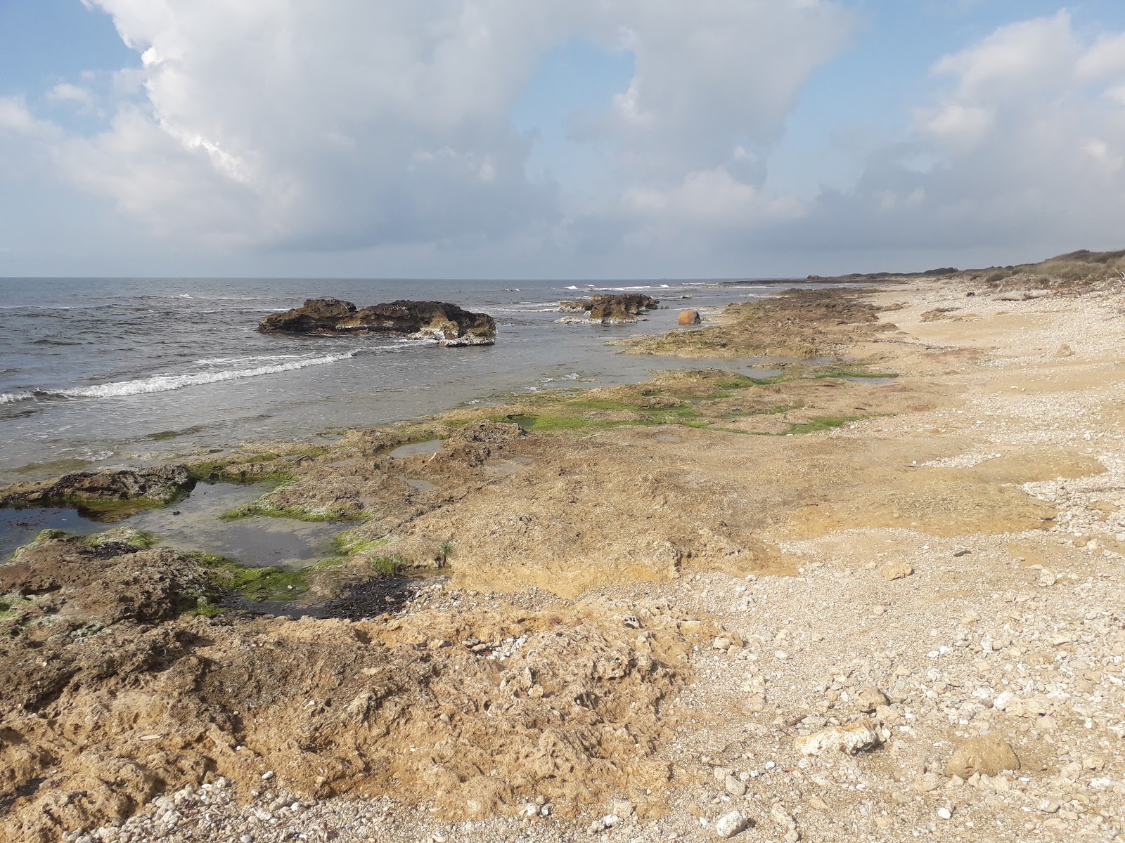 Foto av Spiaggia Valdaliga med stenar yta