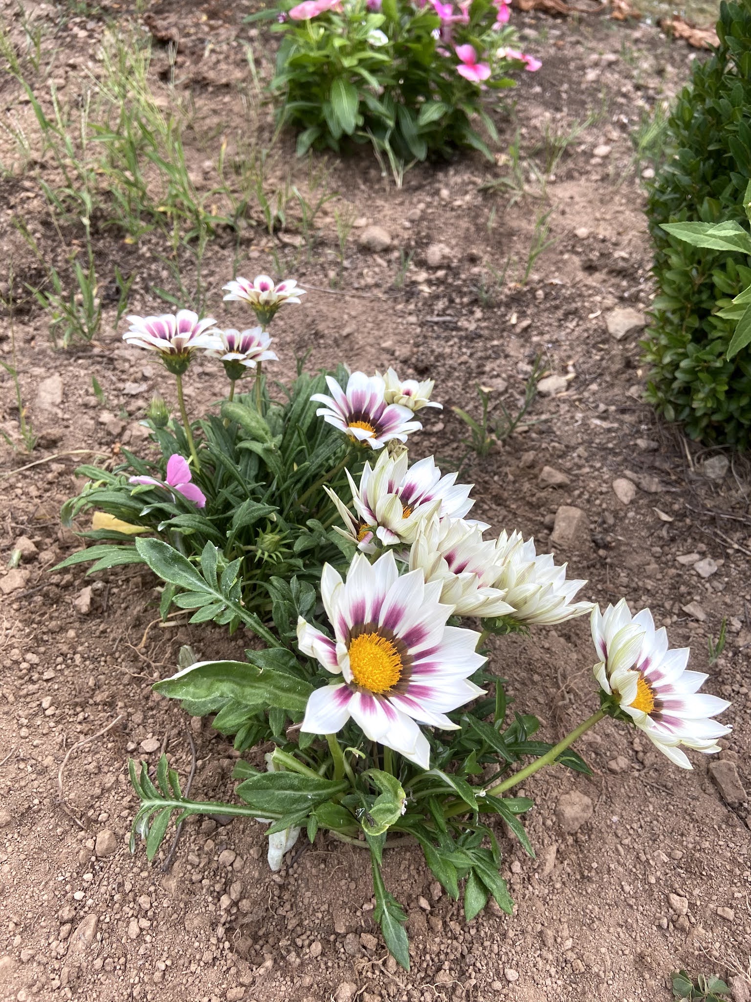 Photo n° 3 de l'avis de Tom.h fait le 15/08/2020 à 07:48