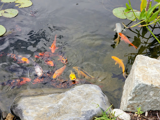 Farm «Four Town Farm», reviews and photos, 90 George St, Seekonk, MA 02771, USA