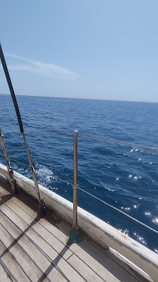 Limnoreia à Leucate