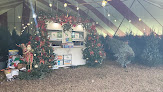 Holiday Sales Christmas Trees