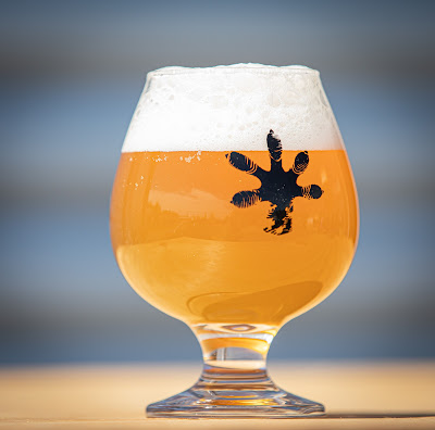 Gekko Brewing Company à Nice