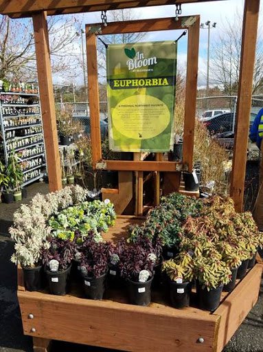 Hardware Store «McLendon Hardware», reviews and photos, 10210 16th Ave SW, Seattle, WA 98146, USA