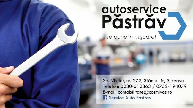 Service Auto Pastrav (Cosmi-Vas) - <nil>