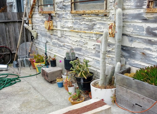 Gift Shop «GENERAL STORE», reviews and photos, 4035 Judah St, San Francisco, CA 94122, USA