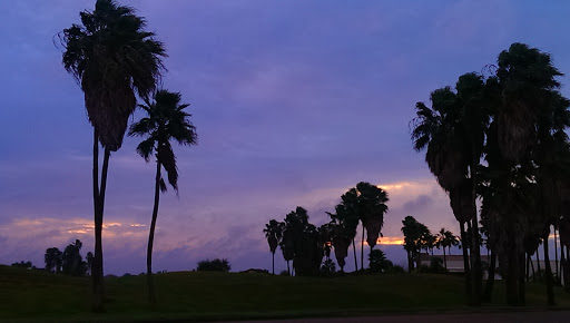 Golf Club «Tierra Santa Golf Club», reviews and photos, 1901 Club De Amistad, Weslaco, TX 78596, USA