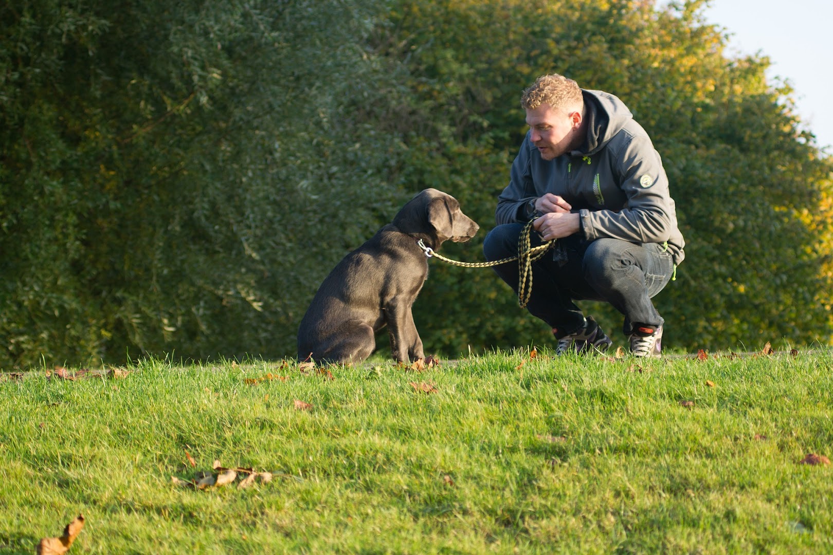 Happy Homes Dog Training