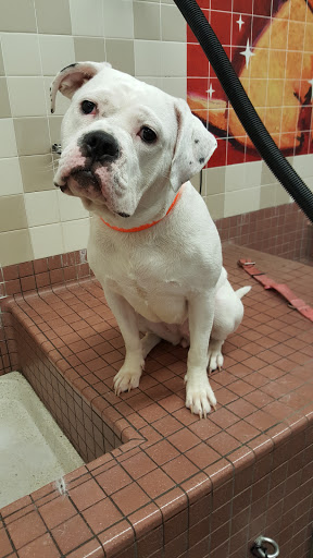 Pet Supply Store «Pet Food Express», reviews and photos, 2531 Fair Oaks Blvd, Sacramento, CA 95825, USA