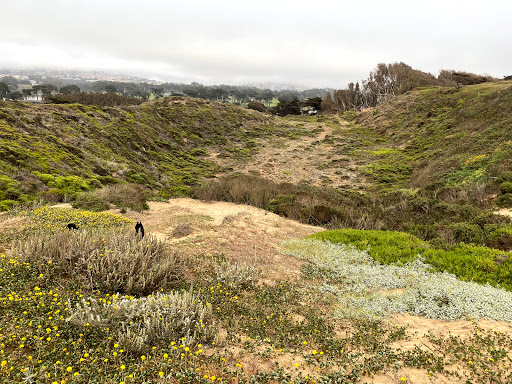 Park «Fort Funston», reviews and photos, Fort Funston Rd, San Francisco, CA 94132, USA