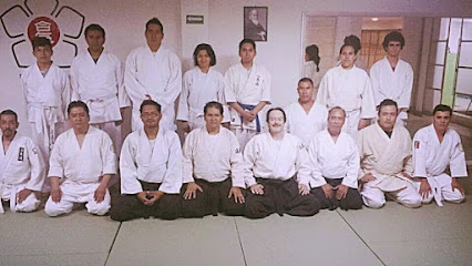 AIKIDO PUEBLA AIKIKAI (ARTE MARCIAL Y DEFENSA PERSONAL)