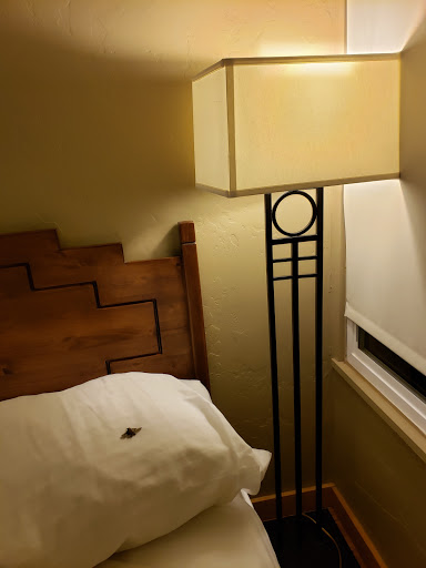 Hotel «Far View Lodge», reviews and photos