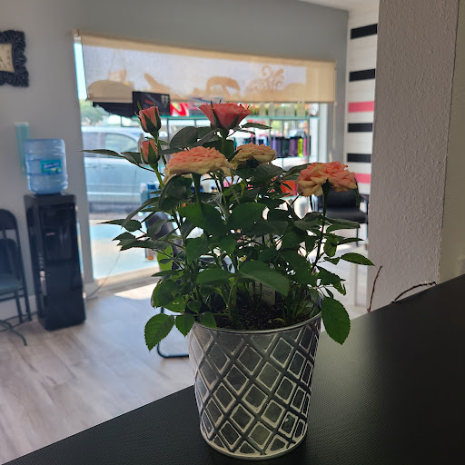 Beauty Salon «Pink Hair Salon», reviews and photos, 1467 S Belcher Rd, Clearwater, FL 33764, USA