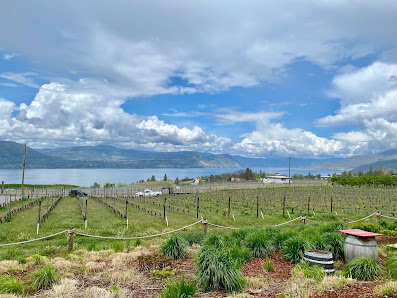 Jokanagan Wine Tours 1368 Gregory Rd, West Kelowna, BC V1Z 3P2, Canada