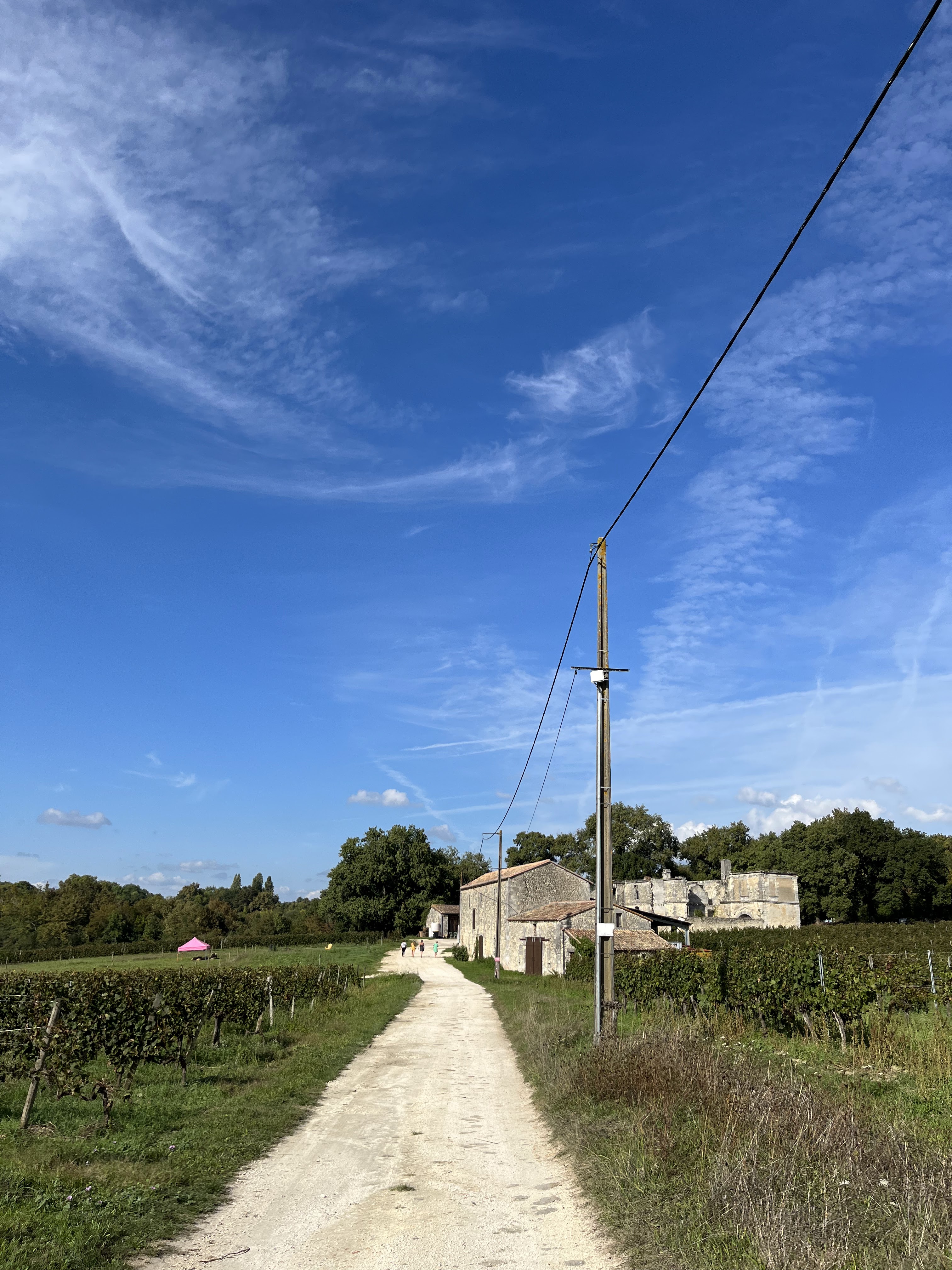 Photo n° 2 de l'avis de A. fait le 21/09/2023 à 07:57