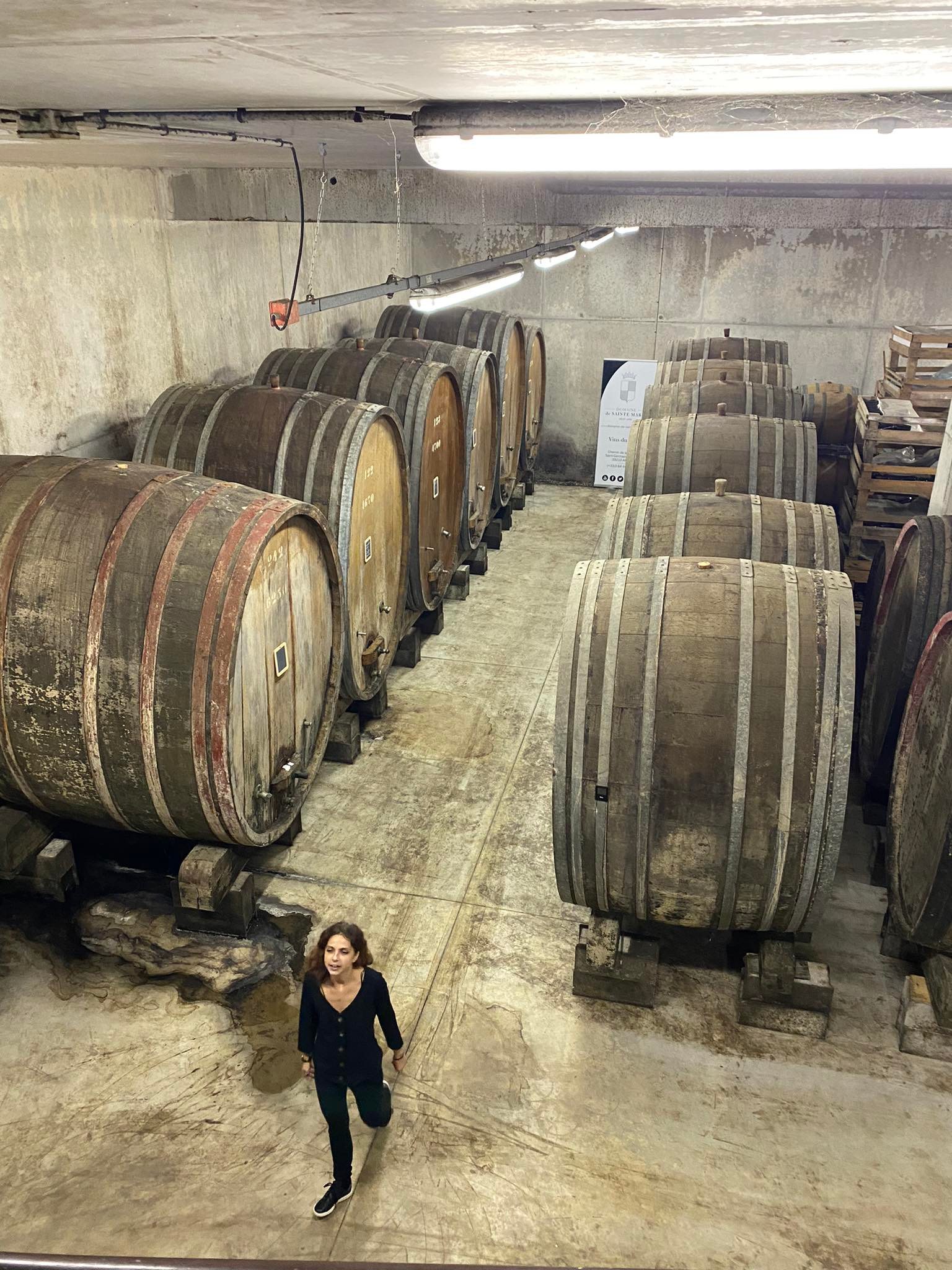 Photo n° 1 de l'avis de BERTRAND.E fait le 09/11/2022 à 15:01