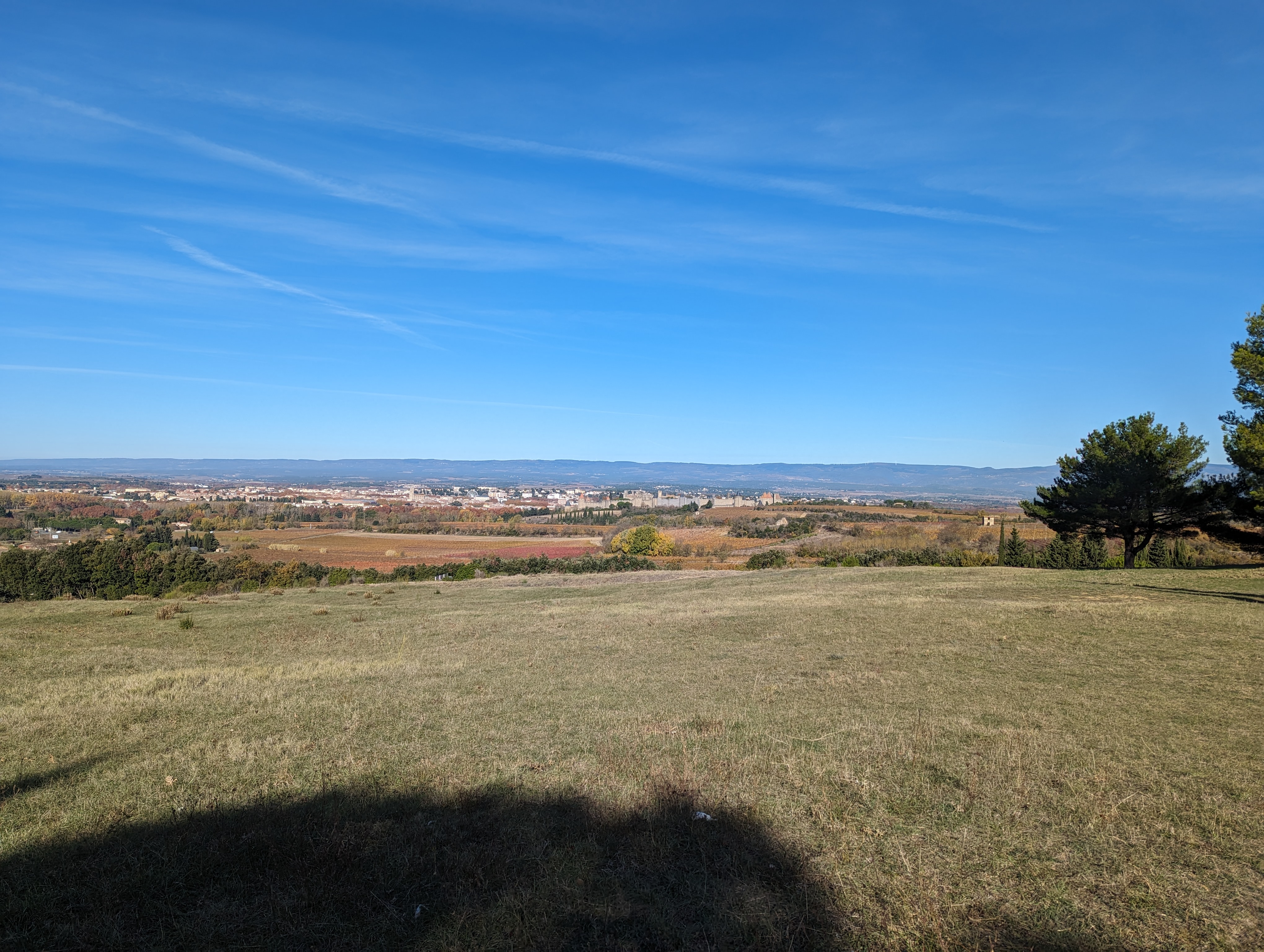 Photo n° 1 de l'avis de Patricia.e fait le 20/11/2023 à 16:24