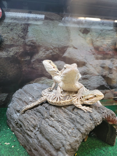 Pet Supply Store «Petco Animal Supplies», reviews and photos, 65 Taunton Depot Dr A, Taunton, MA 02780, USA