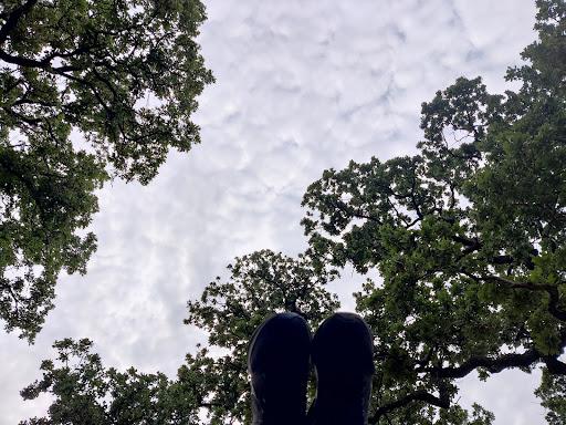 Park «Clarence Thompson Park», reviews and photos, 1600 Brown Blvd, Arlington, TX 76011, USA