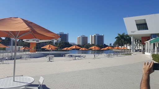 Book Store «University of Miami Bookstore», reviews and photos, 1306 Stanford Dr, Coral Gables, FL 33146, USA