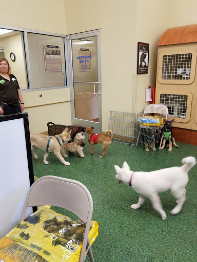 Pet Supply Store «Petco Animal Supplies», reviews and photos, 1704 US Hwy 27 S, Sebring, FL 33870, USA