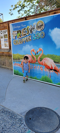 Zoo «Fresno Chaffee Zoo», reviews and photos, 894 W Belmont Ave, Fresno, CA 93728, USA