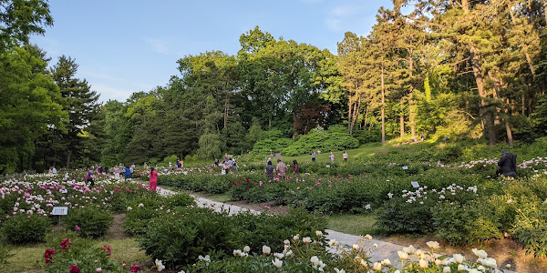 University of Michigan Nichols Arboretum