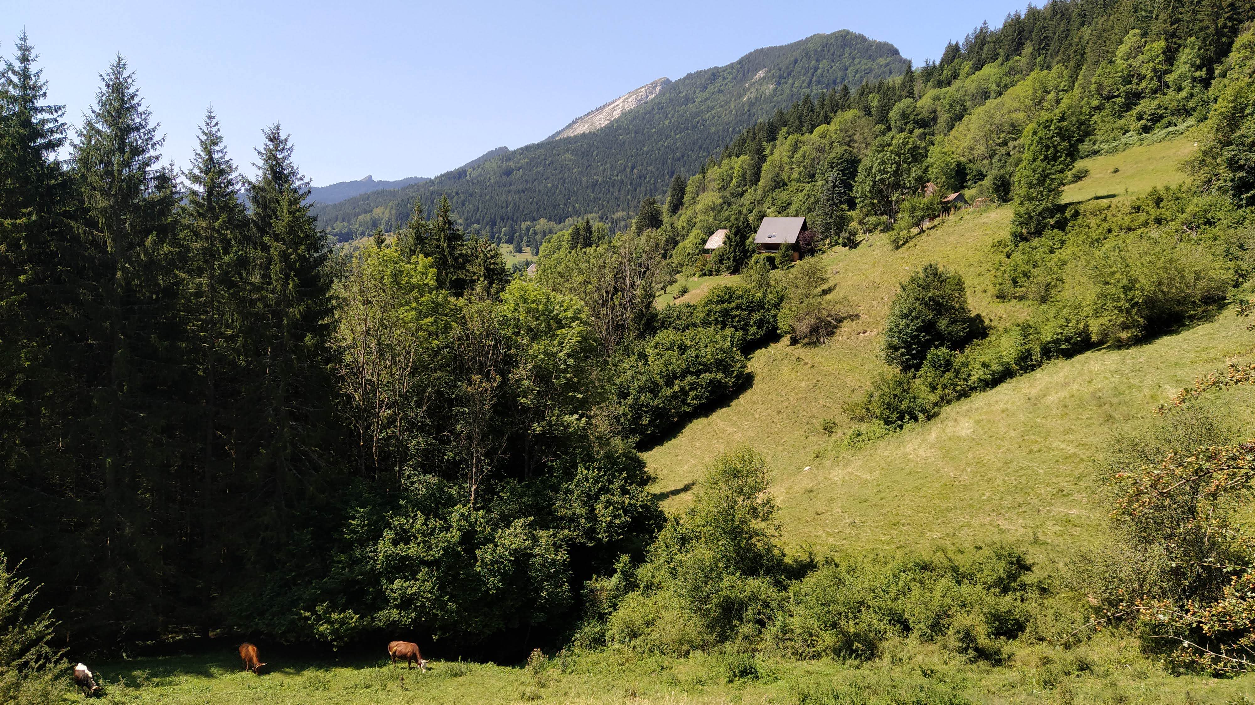 Photo n° 6 de l'avis de Mehdi.a fait le 24/08/2021 à 16:53