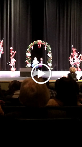 Performing Arts Theater «Alma Performing Arts Center», reviews and photos, 103 E Main St, Alma, AR 72921, USA