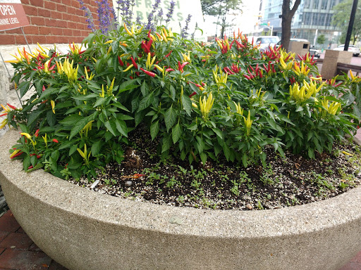 Market «Indianapolis City Market», reviews and photos, 222 E Market St, Indianapolis, IN 46204, USA