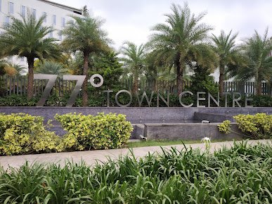 Google Maps image 21