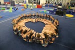 Sagamore Academy of Gymnastics